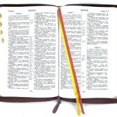 Библия каноническая 076zti (темно-бордовая, термо рамка барокко, молния, указатели) 25076-39