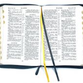 Библия каноническая 076zti (темно-бордовая термо рамка барокко, молния, указатели) 25076-42