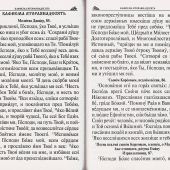 Псалтирь (крупный шрифт, Родное пепелище, 2025)