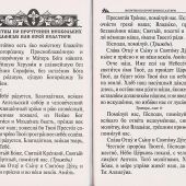 Псалтирь (крупный шрифт, Родное пепелище, 2025)