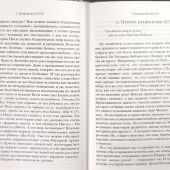 Жемчужины Нагорной проповеди. О главном в христианстве