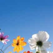 Фото к позиции 1