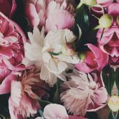 Фото к позиции 1