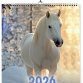 Календарь на 2026 год «Сила, грация и верность» А3, на спирали (Ваката) 1027