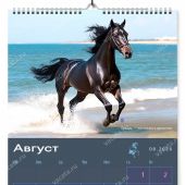 Календарь на 2026 год «Сила, грация и верность» А3, на спирали (Ваката) 1027