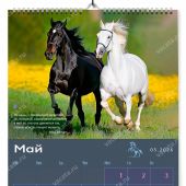 Календарь на 2026 год «Сила, грация и верность» А3, на спирали (Ваката) 1027