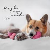 Календарь настенный перекидной на скрепке 30*30 см. на 2026 год «Мудрость Божьего творения»