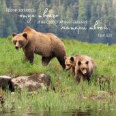 Календарь настенный перекидной на скрепке 30*30 см. на 2026 год «Мудрость Божьего творения»