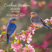 Календарь настенный перекидной на скрепке 30*30 см. на 2026 год «Мудрость Божьего творения»