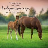 Календарь настенный перекидной на скрепке 30*30 см. на 2026 год «Мудрость Божьего творения»