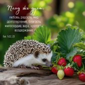 Календарь настенный перекидной на скрепке 30*30 см. на 2026 год «Мудрость Божьего творения»