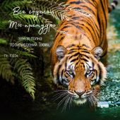 Календарь настенный перекидной на скрепке 30*30 см. на 2026 год «Мудрость Божьего творения»