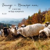 Календарь настенный перекидной на скрепке 30*30 см. на 2026 год «Мудрость Божьего творения»