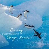 Календарь настенный перекидной на скрепке 30*30 см. на 2026 год «Мудрость Божьего творения»