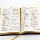 Библия 055 MG в современном переводе М.П. Кулакова (гибкий переплет, фуксия термовинил)