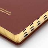 Библия 055 MTiG в современном переводе М.П. Кулакова (гибкий переплет, коричневый термовинил)