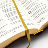 Библия 055 MTiG в современном переводе М.П. Кулакова (гибкий переплет, зеленый термовинил)