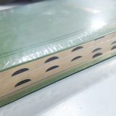 Библия каноническая 056 MTiG (светло-зеленая рециклированная кожа, золотой обрез, указатели)
