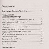 Стихи о Санкт-Петербурге (Любимые поэты)