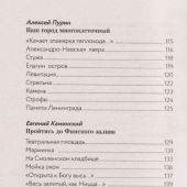 Стихи о Санкт-Петербурге (Любимые поэты)