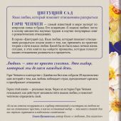 Любовь — это выбор: пять языков любви в действии