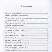 Толстой Л.Н. Моя вторая русская книга для чтения