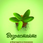 Открытка цветная А6 «Возрастайте в благодати и познании Господа нашего...» (Ученик)