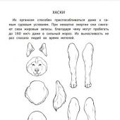 Бумажный Новый год. Вырежи, раскрась, играй. 12 готовых схем