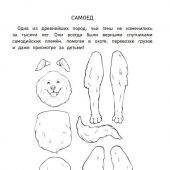 Бумажный Новый год. Вырежи, раскрась, играй. 12 готовых схем