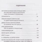 Сидоренко С. Забытая земля Новороссии. О судьбе Кировоградской области