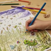 Путешествие по Библии. Раскрашиваем и дополняем наклейками (Ваката 1150)