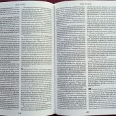 Библия: книги Священного Писания Ветхого и Нового Завета на осетинском языке