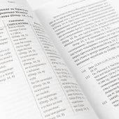 Скорби и гонения как путь ученика Христова в свете богословия Евангелия от Иоанна (Библиотека христи