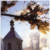 Родник благодати