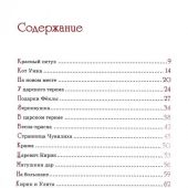 Богданова И. Сказка про куклу зерновушку