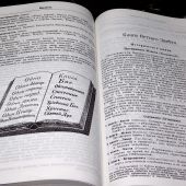 Библия каноническая Геце 057g «оливковая ветвь» (кожа темно-кор, фактура сетка, зол. обр) 25057-12