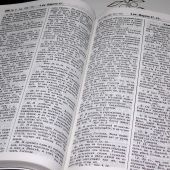 Библия каноническая Геце 057zg «оливковая ветвь» (кожа корич. гладк., на молн., зол. обр) 25057-26