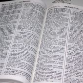 Библия Геце 057g «оливковая ветвь» (кожа темно-коричневая, гладкая, золотой обрез) 25057-24