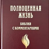 Библия «Полноценная жизнь» 065 (темно-коричневый, с оттенком бордо твердый переплет) 25065-2