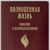 Библия «Полноценная жизнь» 065 tig (кожа бордо, золот. обр., краевые ук) 25065-16