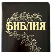 Библия Геце 057g «оливковая ветвь» (кожа черная, фактура сетка, золотой обрез) 25057-23