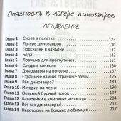 Детектив Зак. В 5-тт.Т.3. Кн.5. Таинственное исчезновение.... Кн.6. Опасность в лагере динозавров