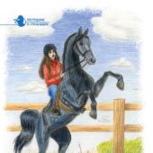 Фото к позиции 