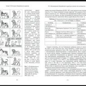 Медведская И. История Мидийского царства VII-VI вв. до н.э.
