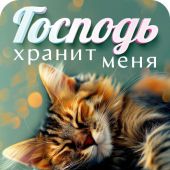 Магнит пластиковый прямоугольный — Господь хранит меня