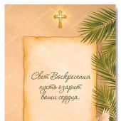 Фото к позиции 