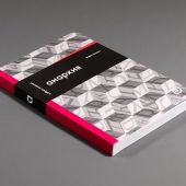 Волков В. Анархия, или Жизнь без начальника