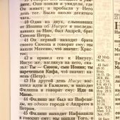 Библия каноническая 055z (корич переплёт кожа, на молнии, золотой обрез,дизайн терновый)26055-12