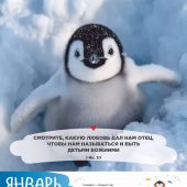 Календарь на 2027 год «Забавные животные» настенный, на скрепке