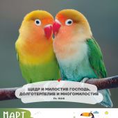 Календарь на 2027 год «Забавные животные» настенный, на скрепке